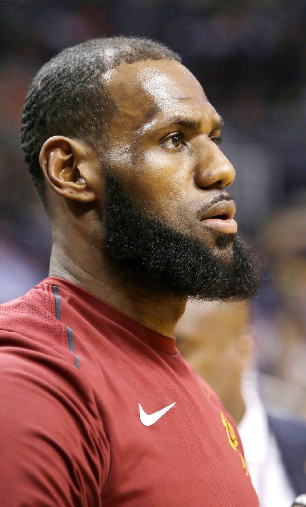 象的必答题 象的必答题